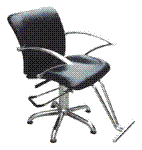 Styling Chair PN-2115